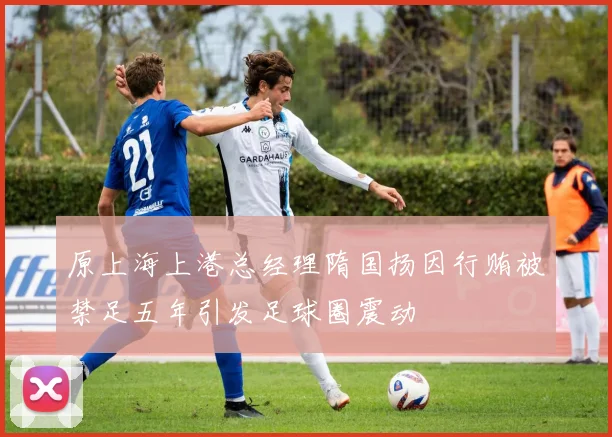原上海上港总经理隋国扬因行贿被禁足五年引发足球圈震动