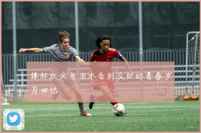 捧杯欢庆与泪水告别交织的青春岁月回忆