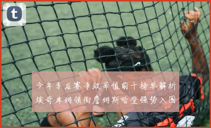 今年季后赛净效率值前十榜单解析埃奇库姆领衔詹姆斯哈登强势入围